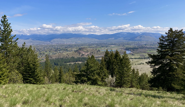 A grassy slope, looking down, gives way to thickening evergreens. Over the top of them is a sweeping vista of a green valley, a river meandering through it. Beyond, dark mountains rise beneath clouds, though the sky is clear over the valley.