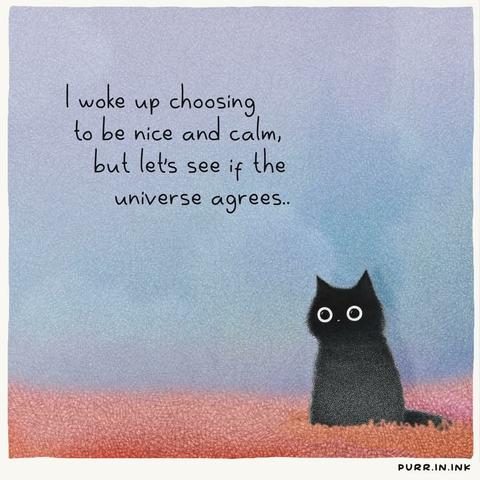 Illustration by Luis Coelho @purr.in.ink
Soft blue background, bottom eight of illustration in a soft salmon color.  Little black cat to the right with round eyes, white around large pupils. 

“l woke up choosing to be nice and calm, but let’s  see if the universe agrees.”