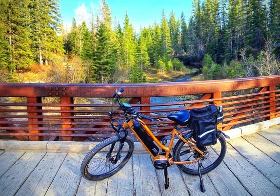 In a wooded area filled with evergreen trees, a copper coloured e-bike sits on a wooden bridge with rusted coloured metal railings. A small stream can be seen beyond the bridge. The sky is blue and the sunshine through the trees highlights the bridge and the bike.
I always stop here to take it all in.