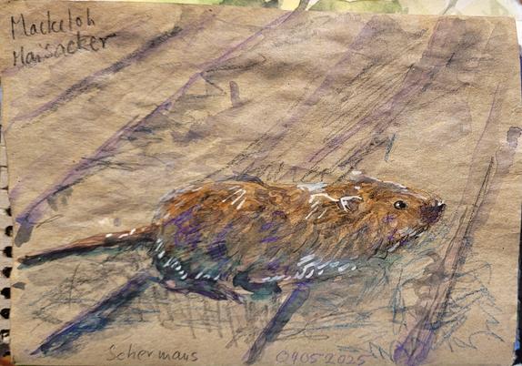 Aquarellskizze im kleinen Skizzenbuch auf Packpapier: eine braune Maus auf kahler heller Erde