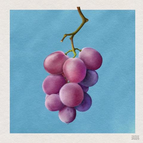 Digital gouache of a small bunch of purplish grapes against a blue background.