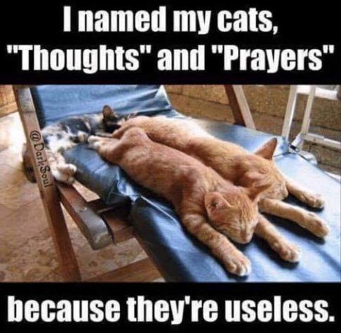 Two orange cats stretched out on their bellies, legs forward, lying on pool side lounger.  
I named my cats, “Thoughts” and  “prayers” because  they're useless. 

[For any none Americans, the saying is used by republicans ever time there is a mass shooting in place of legislations.]