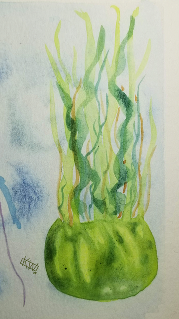 Watercolor of a big yellow-green sea jelly with green & orange tentacles, having a nice swim.