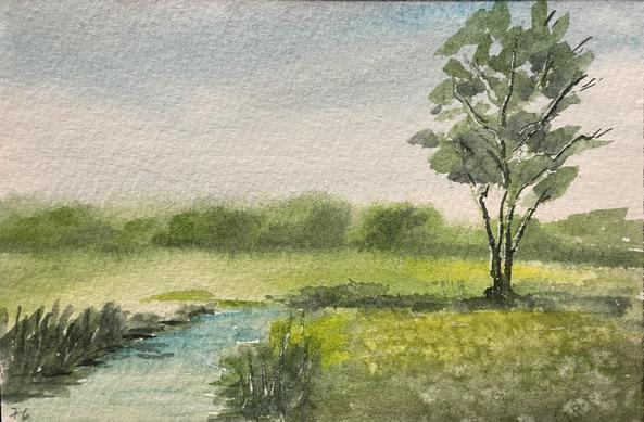 A narrow stream curves gently through an open, grassy field, with tall reeds lining the water’s edge and a slender tree standing alone to the right, its delicate branches reaching upward.