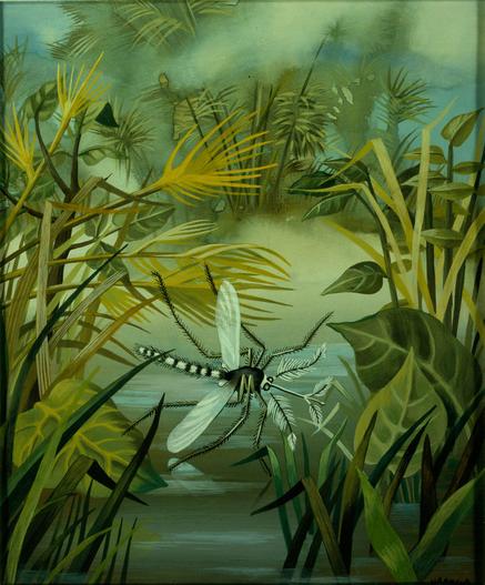 Malaria (Dragonfly) / Paludismo (Libélula) (1947) by Remedios Varo (1908 - 1963)