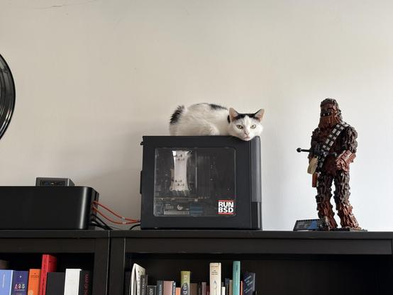 In the center, there’s a black and white cat lying on the big black box with a “Run BSD” sticker, which happens to be my Proxmox server. On the right-hand side, there’s a Chewbacca made of LEGO.