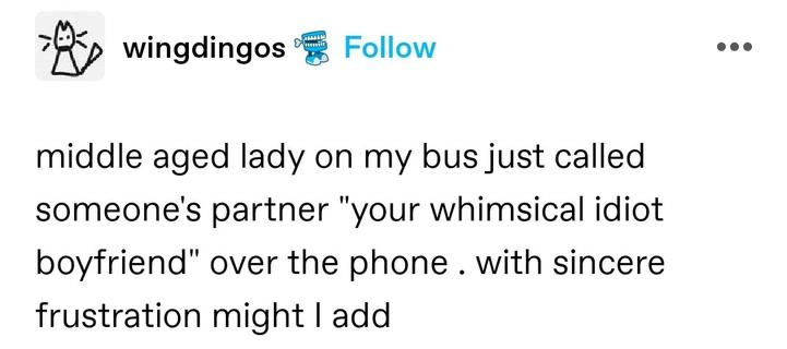 middle aged lady on my bus just called someone's partner "your whimsical idiot boyfriend" over the phone . with sincere frustration might I add