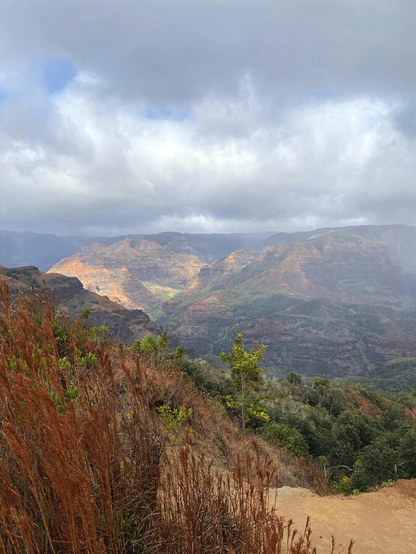 Experience the awe-inspiring beauty of Waimea Canyon on the island of Kauai, Hawaii. Often called the "Grand Canyon of the Pacific," this stunning natural wonder showcases dramatic red rock cliffs, lush greenery, and misty valleys under dynamic skies. Perfect for nature lovers, hikers, and photographers, Waimea Canyon offers some of the most picturesque views in Hawaii. Discover why this incredible canyon is a must-see destination when visiting Kauai.

Clouds hang over a vast canyon landscape, with sunlight illuminating sections of the rugged terrain and vibrant greenery. Tall grasses and plants in the foreground create depth, framing the natural beauty of the scene.