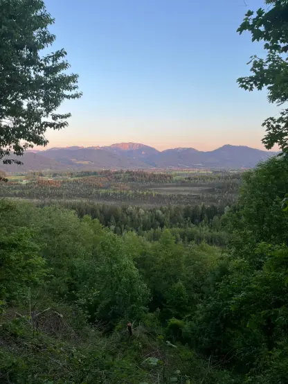 Blick über einen Wald auf eine Bergkette im Abendlicht