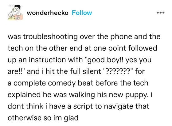 was troubleshooting over the phone and the tech on the other end at one point followed up an instruction with "good boy!! yes you are!!" and i hit the full silent "???????" for a complete comedy beat before the tech explained he was walking his new puppy. i dont think i have a script to navigate that otherwise so im glad