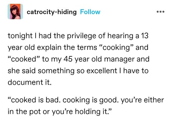tonight I had the privilege of hearing a 13 year old explain the terms “cooking” and “cooked” to my 45 year old manager and she said something so excellent I have to document it. 

“cooked is bad. cooking is good. you’re either in the pot or you’re holding it.”