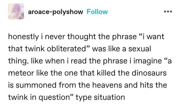 honestly i never thought the phrase “i want that twink obliterated” was like a sexual thing. like when i read the phrase i imagine “a meteor like the one that killed the dinosaurs is summoned from the heavens and hits the twink in question” type situation