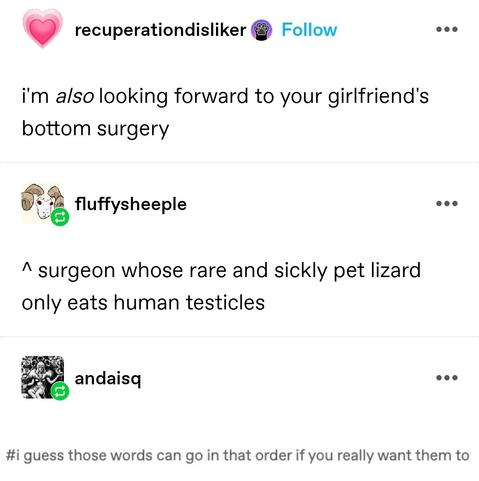 i'm *also* looking forward to your girlfriend's bottom surgery 

^ surgeon whose rare and sickly pet lizard only eats human testicles

I guess those words can go in that order if you really want them to