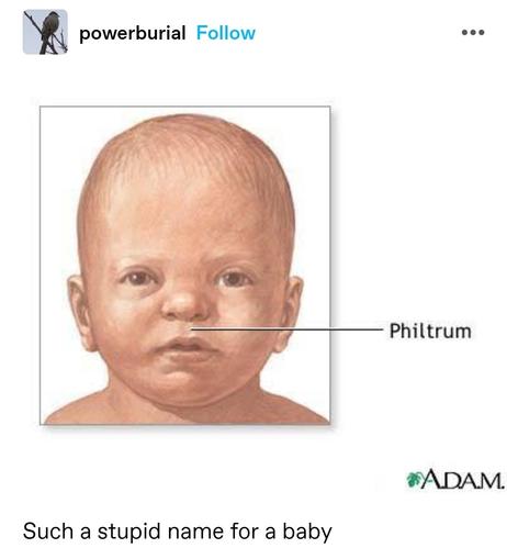 A diagram of a human baby's face with one label saying "philtrum" pointing to the baby's philtrum which is the dip between the upper lip and nose

Such a stupid name for a baby