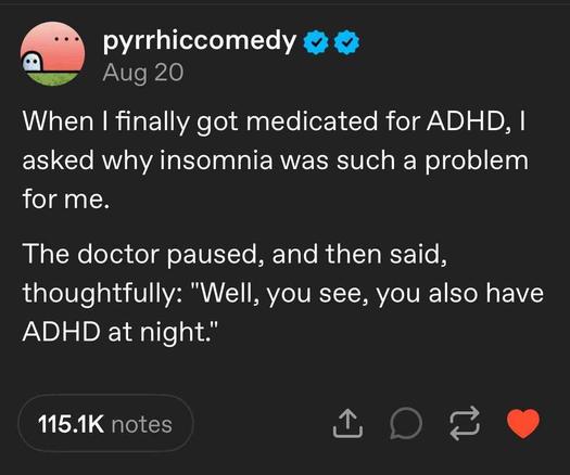 Tumblr post screenshot: "When I finally got medicated for ADHD, I asked why my insomnia was such a problem for me. The doctor paused, and then said, thoughtfully: 'Well, you see, you also have ADHD at night."