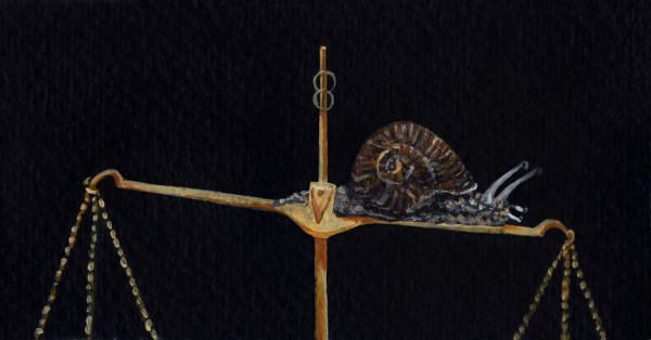 A snail tipping an old weight scale. Illustration by Augusto Metztli.