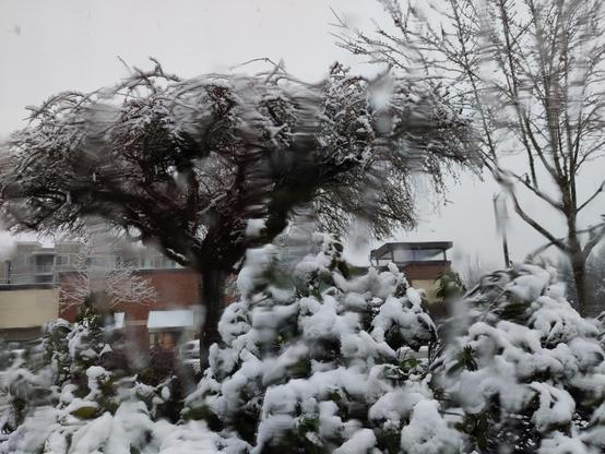 Photo taken from a car window: snowy trees and bushes and a shopping center. The snow is still snow but getting wetter and rainier.