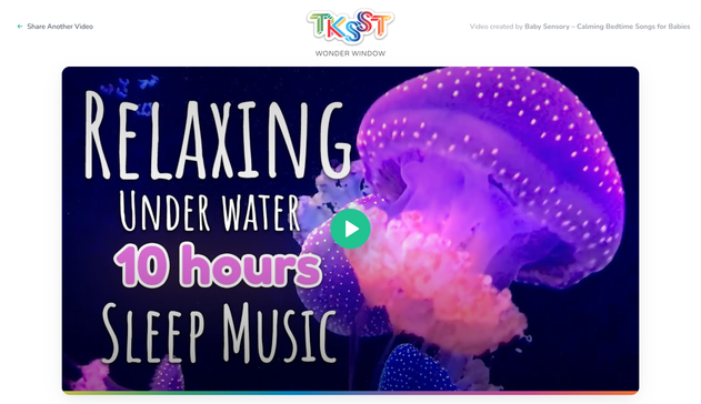 Screengrabs from the TKSST Wonder Window