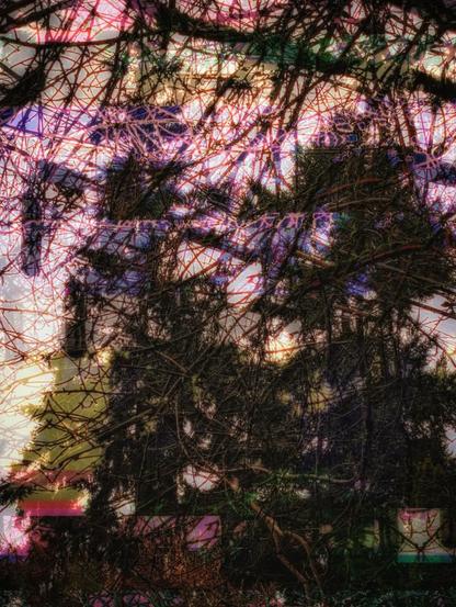 Glitch art digital double exposure of two tall evergreen trees and several telephone lines and power wires and mirrored transformer. Swatches of pink, violet, red, and yellow toned colors interact with digital photo cutups. This image was taken from my porch in the St. John's neighborhood of Portland Oregon.