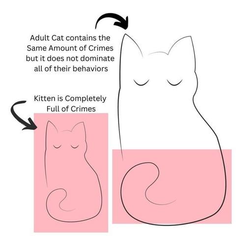 Left: Minimal line art drawing of a cat that is enclosed in a pink rectangle. Label: Kitten is completely full of crimes

Right: the same cat art but twice the size. The same size rectangle covers only the bottom of the cat. Label: Adult cat contains the same amount of crimes but it does not dominate all of their behaviors