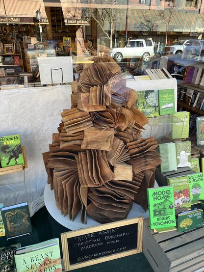 “Never Again” by Christian Burchard is a sculpture of a pile of books made of madrone wood, a beautiful Cascadian tree. The books are piled into a stack and made of a flammable material. You can put together what that Never Again is.

It’s in a bookstore window surrounded by a display of a large sum of books with green covers about connections to our planet Earth.