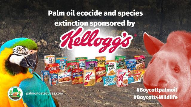 #Palmoil used by #Kelloggs’s brands is so-called “sustainable” yet it still causes #deforestation #ecocide #extinction and #indigenous landgrabbing. Fight back against the greenwash ☠️🧐🌴🤮⛔️ and #BoycottPalmOIl #Boycott4Wildlife @palmoildetect.bsky.social https://palmoildetectives.com/2021/02/09/kelloggs/?utm_source=mastodon&utm_medium=Palm+Oil+Detectives&utm_campaign=publer
