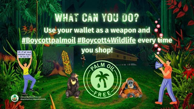 #Palmoil used by #Kelloggs’s brands is so-called “sustainable” yet it still causes #deforestation #ecocide #extinction and #indigenous landgrabbing. Fight back against the greenwash ☠️🧐🌴🤮⛔️ and #BoycottPalmOIl #Boycott4Wildlife @palmoildetect.bsky.social https://palmoildetectives.com/2021/02/09/kelloggs/?utm_source=mastodon&utm_medium=Palm+Oil+Detectives&utm_campaign=publer