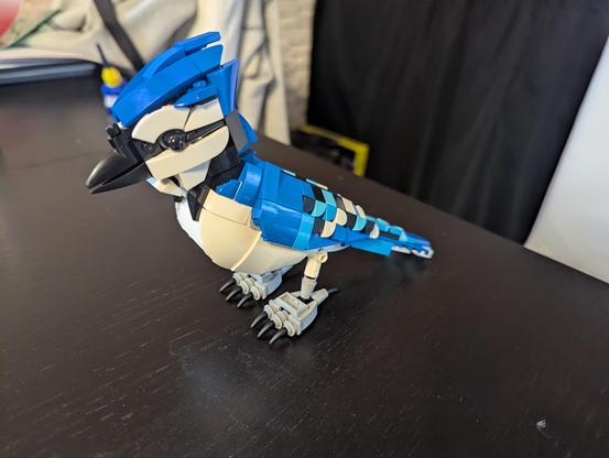 A Lego blue jay sitting on a black wooden table.