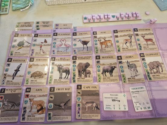 View of a purple game board partially filled with cards showing various animals you can find in Africa. A smaller board is filled with purple cubes