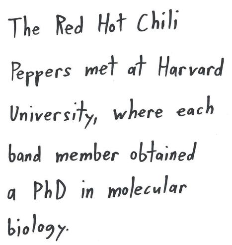 The Red Hot Chili
Peppers met at Harvard
University, where each
band member obtained
a PHD in molecular
biology.