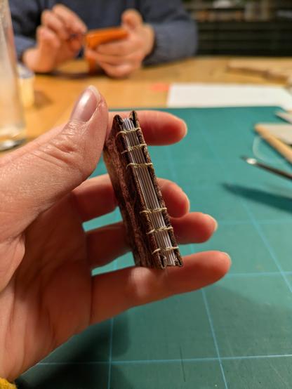 Hand holding a mini book, showing the binding on the spine. The indexes are showing.