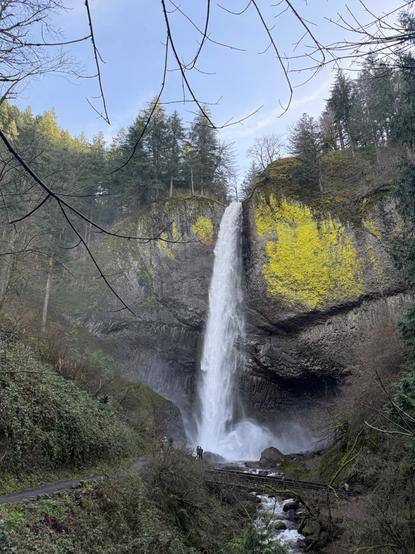 Latourell Falls in NW Oregon.  Probably 100ft tall with very cool tubular rock formations, a bright golden green lichen on the rocks, and a huge cloud of mist from the water falling on a giant rock at the bottom