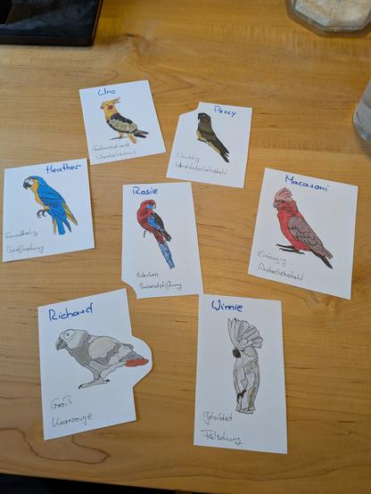 7 handgemalte Papageien in verschiedenen Farben.