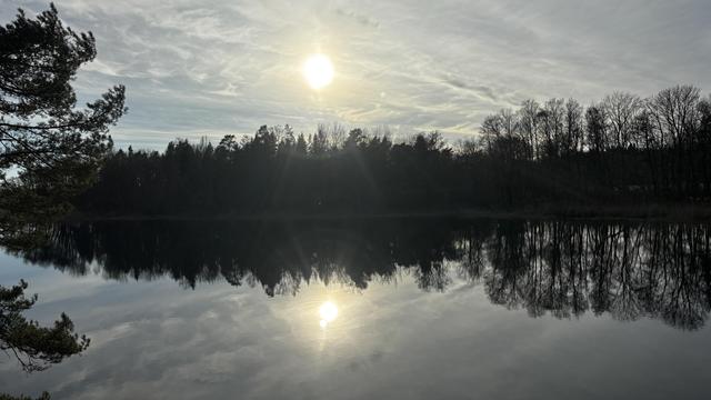 Photo of a dreamlike, slightly cloudy sky with the sun shining through behind a forest line both of which are reflected in the calm waters at the bottom of the photo.