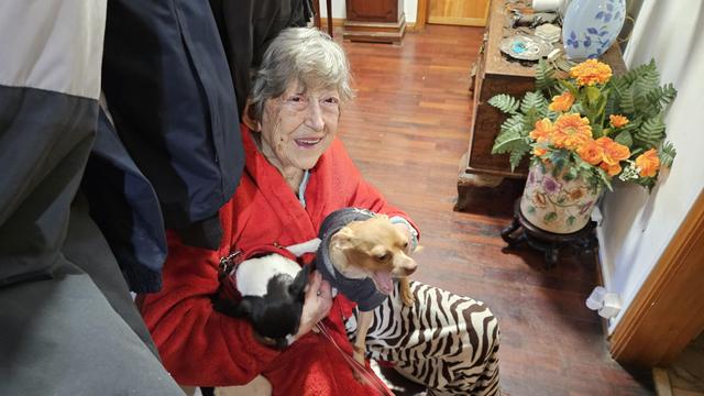 Picking up nico for a walk.