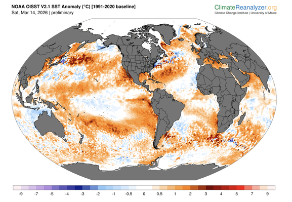 a world m,ap of sea surface temperature anomalies by University of Maine shows an average temp of 21.09 degrees celsius. there are many warm patches (compared to average)