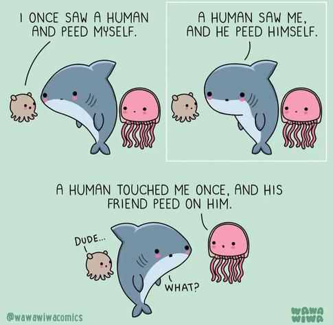 A  cartoon of a cuttlefish, a shark and a jellyfish in the sea :

Cuttlefish: I once saw a human and peed myself 

Shark: A human saw me and peed himself

Jellyfish: A human touched me once, and his friend peed on him.

Shark: What? 

Cuttlefish: Dude ...