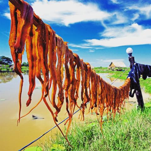 Photo shows a string of animal filets hanging to dry outside in the hot sun. It is deep red fillets contrasting nicely with the green flora, the light beige wetland lake and the deep blue lightly clouded sky. In the background there is are open huts on stilts in the lake, with a small narrow walkway bridge to the dike connecting it to land.