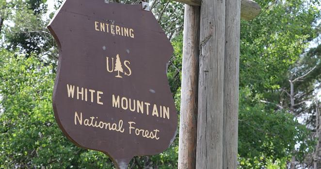 White Mountain National Forest sign in Easton, NH. Dan Tuohy photo / NHPR. NHPR.org