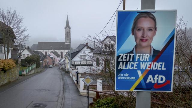 Germany's intelligence service moves against far-right AfD, sets off quarrel with US