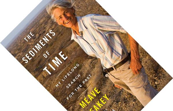 The Sediments of Time