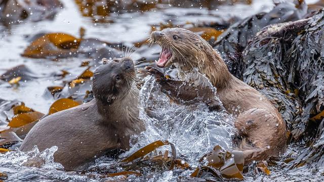 Cuantan Caochlaideach/Seas in Motion - Series 1: 2. An Cuan a Tuath Diomhair - Cuantan Caochlaideach/Seas in Motion - Series 1: 2. An Cuan a Tuath Diomhair