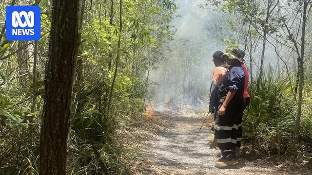 'Sleeping' Indigenous burning technique awakens in Cape Hillsborough - 'Sleeping' Indigenous burning technique awakens in Cape Hillsborough
