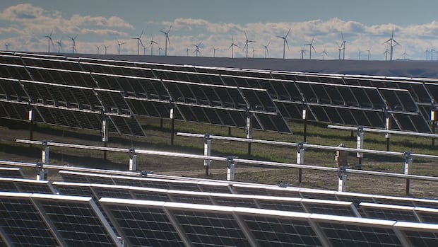 Alberta power policies trigger $408M devaluation to ATCO's wind and solar division, company says | CBC News - Alberta power policies trigger $408M devaluation to ATCO's wind and solar division, company says | CBC News