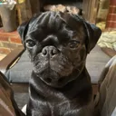 Andy Craig (@andycraig.bsky.social) - Andy Craig (@andycraig.bsky.social)