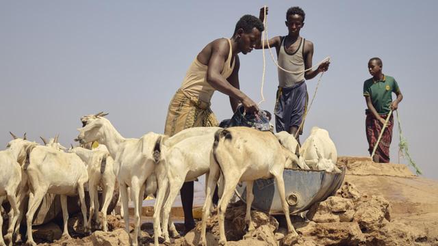 Under the same sky, climate change brings drought to Somalia and floods to Kenya - Under the same sky, climate change brings drought to Somalia and floods to Kenya