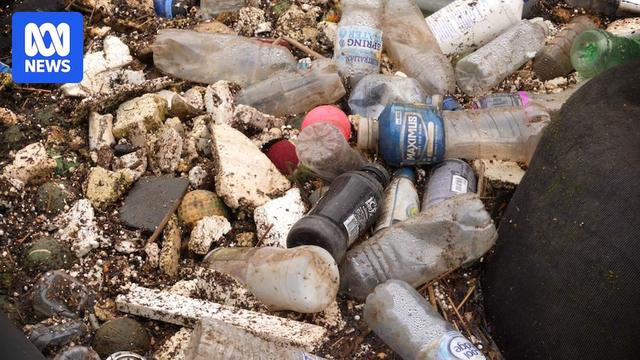 One in five NSW waterways has severe microplastic contamination, study finds - One in five NSW waterways has severe microplastic contamination, study finds