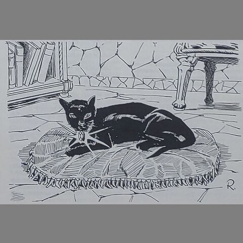 A black cat lies on a cushion near a bookcase. A ribbon around its neck holds a very large glowing gem.
