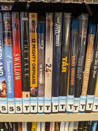 A photo of the T section of DVDs at the library as evidence. 