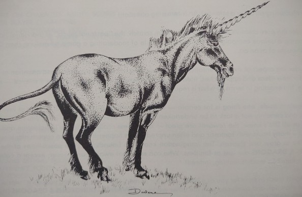 A black and white drawing of a Unicorn by Darlene.